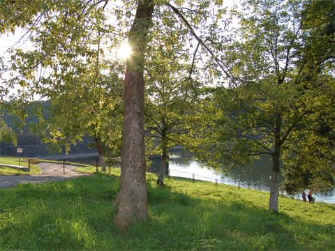 Ilustrační foto (Zlin.cz)