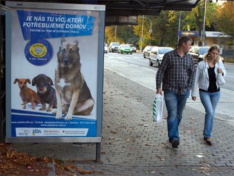 Citylight na projekt Němá tvář