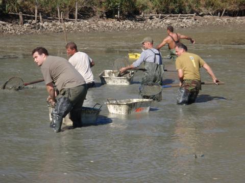 Záchrana ryb ve Slavičíně (Foto: www.hzslk.eu)