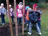 Sázení nového stromu v parku Svobody (Foto: Město Zlín) Sázení nového stromu v parku Svobody (Foto: Město Zlín)