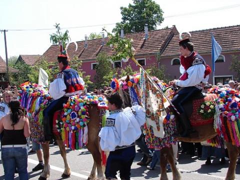 Jízda králů (Foto: archiv obce Vlčnov)