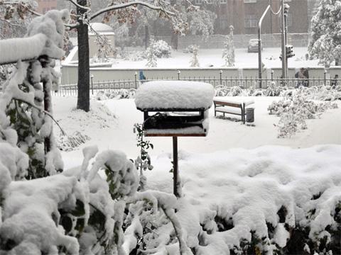 Ilustrační foto (Mediafax)