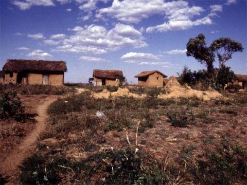 Foto z výstavy Madagascar: Ostrov snů