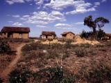 Foto z výstavy Madagascar: Ostrov snů