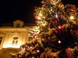 Vánoční strom ve Valašských Kloboukách (Foto: Město Valašské Klobouky)