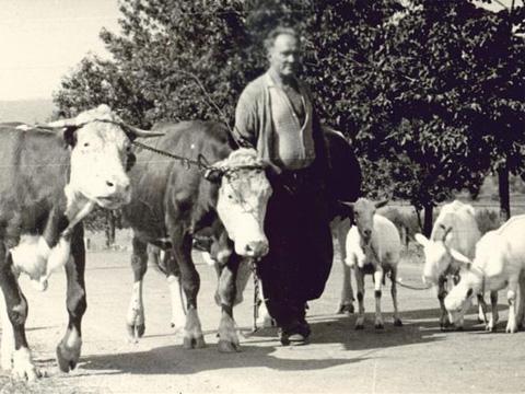 Sedlačení na valašském gruntě