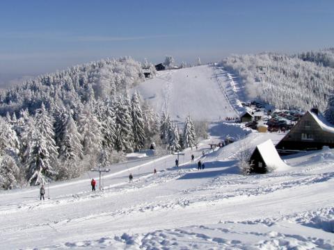 Ilustrační foto (Foto: Robert Šperka)