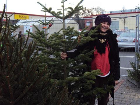 Prodej vánočních stromků právě začíná (Foto: Agentura Čada)