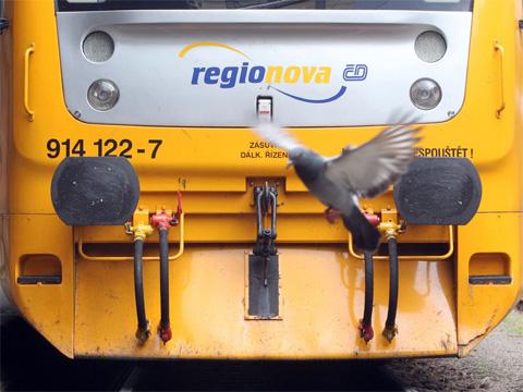 Ilustrační foto (Mediafax)