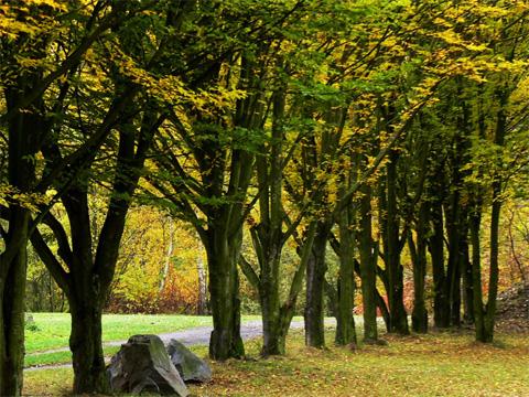 Ilustrační foto (Mediafax)