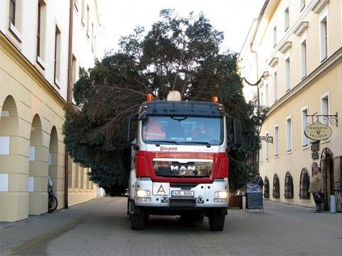 Přeprava vánoční stromu byla náročná (Foto: Město Kroměříž)