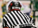 Rozhodčí René Hradil (Foto: Mediafax)