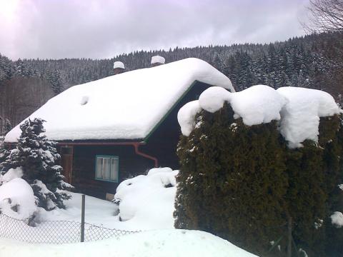Zima drží svoji vládu momentálně velmi pevně (Foto: Agentura Čada)