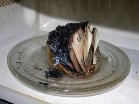 Spálené peníze (Foto: www.hzszlk.eu)