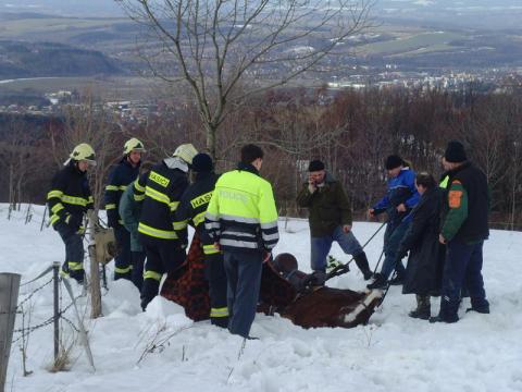 Kůň zapadl do závěje (Foto: www.hzszlk.eu)