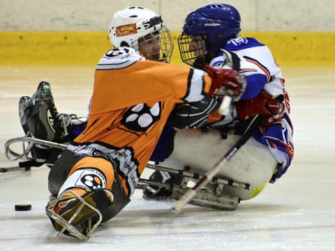 Sledge hokejisté (Foto: www.zlin.eu)