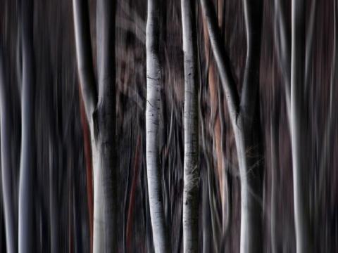 Fotosoutěž na téma Chráněná území Zlínska (Foto: Jan Mrlík)