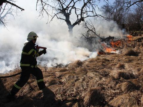 Požár lesa u Lukova na Zlínsku (Foto: HZS Zlínského kraje)