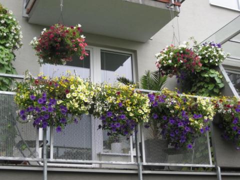 Soutěž o nejhezčí jarní výzdobu (Foto: www.zlin.eu)
