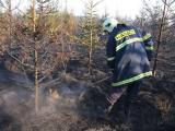 I přes zákaz pálení museli hasiči opět vyjet (Foto: HZS Zlínského kraje)