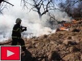 Požár lesa u Lukova na Zlínsku (Foto: HZS Zlínského kraje)