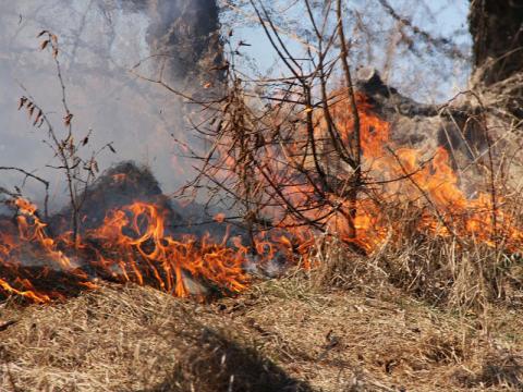 Hejtman ukončil zákaz pálení pro celý Zlínský kraj (Foto: HZS Zlínského kraje)