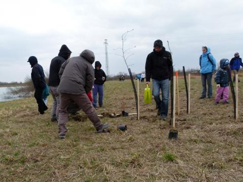 Děti pomáhaly sázet stromky kolem štěrkovny (Foto: Cemex)