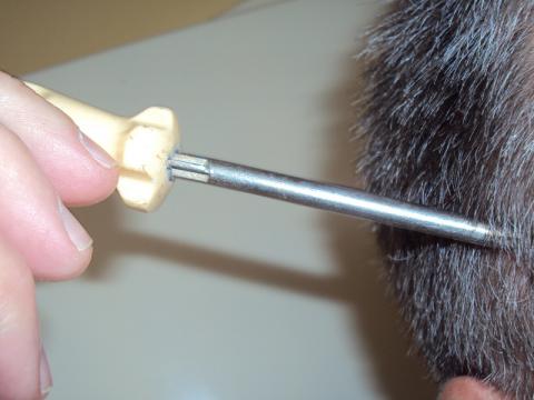 Ilustrační foto (Foto: Agentura Čada)