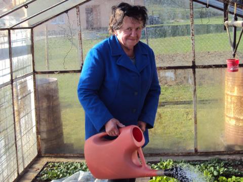 Zahradnice z Březnice předběhla čas (Foto: Agentura Čada)