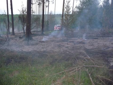 Hasiči likvidovali požár dvou hektarů lesa (Foto: HZS Zlínského kraje)