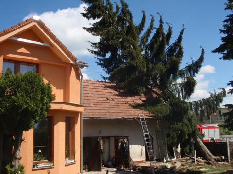 Mohutný strom spadl na rodinný dům (Foto: HZS Zlínského kraje)
