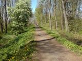 Litovelské Pomoraví (Foto: Kamil)
