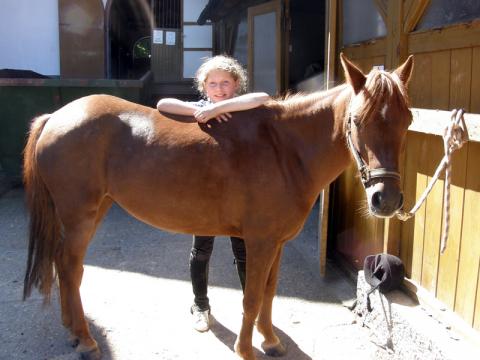 Ilustrační foto (Foto: Mediafax)