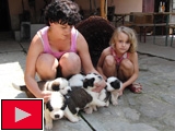 Osm krásných bernardýnů (Foto: Agentura Čada)