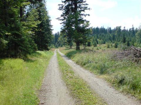Ze Zlína na rozhlednu do Chřibů (Foto: Kamil)