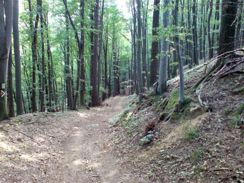 Na Rusavu přes Javorčí vrch (Foto: Kamil)