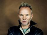 Sting (Foto: AGENTURA VELRYBA)