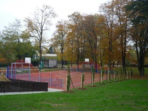 V Králově ulici přibyly nové stromy (Foto: MÚ Valašské Meziříčí)