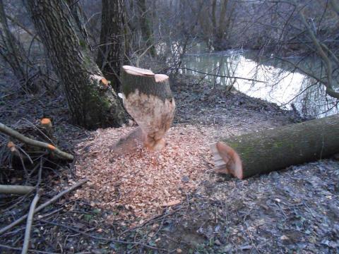 Foto: Zlín.cz