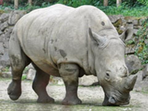 Foto: ZOO Zlín