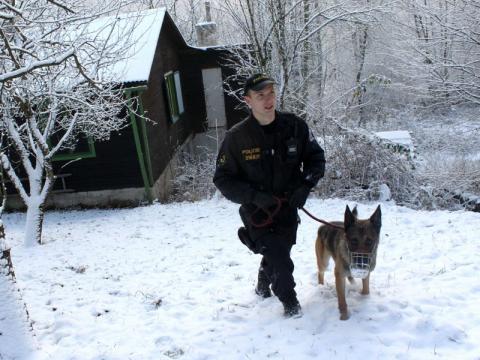 Ilustrační foto (Foto: Zlin.cz)