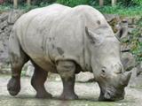 Foto: ZOO Zlín