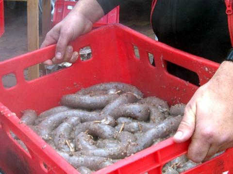 Tříkrálová zabíjačka (Foto: Agentura Čada)