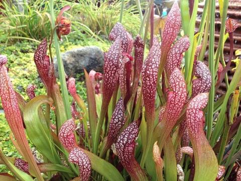 Ilustrační foto (Foto: Zlin.cz)