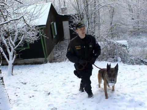 Ilustrační foto (Foto: Policie ČR)