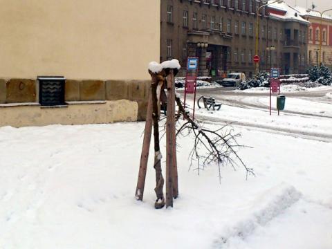 Foto: MÚ Valašské Meziříčí