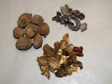 Triphala (Foto: Bylinkář Standa)