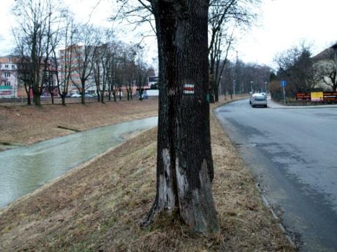 Řeka Dřevnice (Foto: www.zlin.eu)