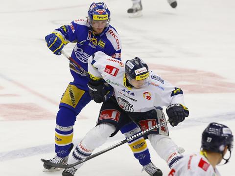 PSG Zlín - Bílí Tygři Liberec (Foto: hokej.zlin.cz)