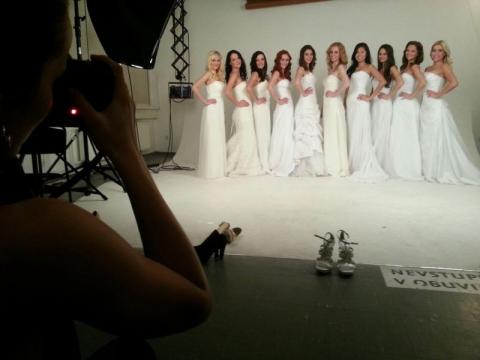 Finalistky Miss Academia 2013 (Foto: Miss Academia)